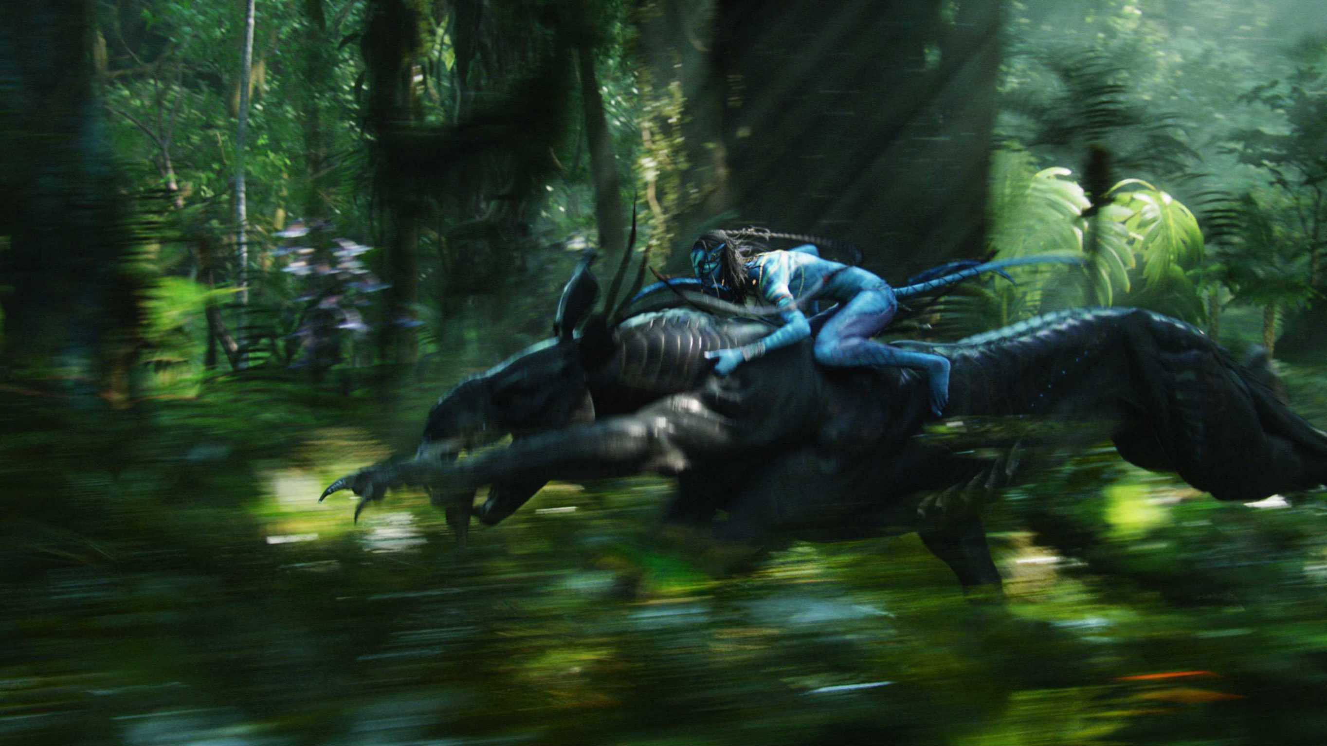 Movie Review Avatar (Dan